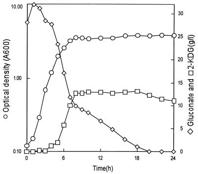 FIG. 1