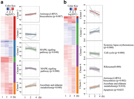 Fig. 4