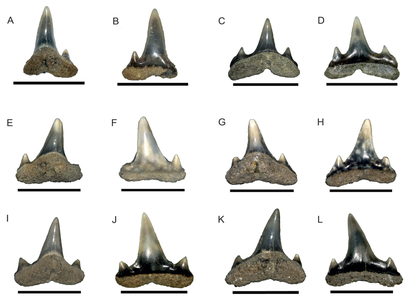 Figure 15