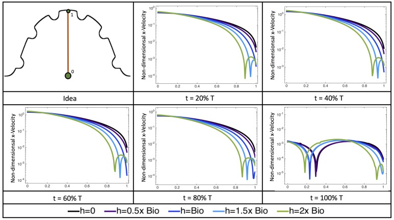 Figure 22