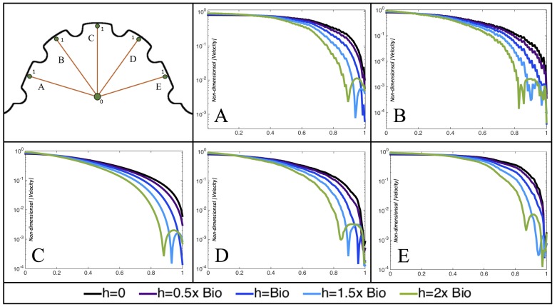 Figure 17