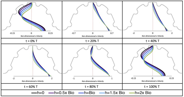 Figure 24