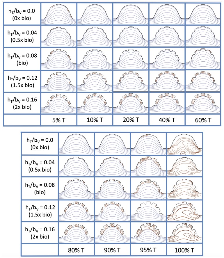 Figure 20