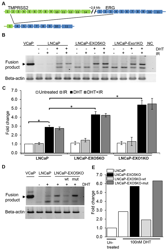 Figure 7.