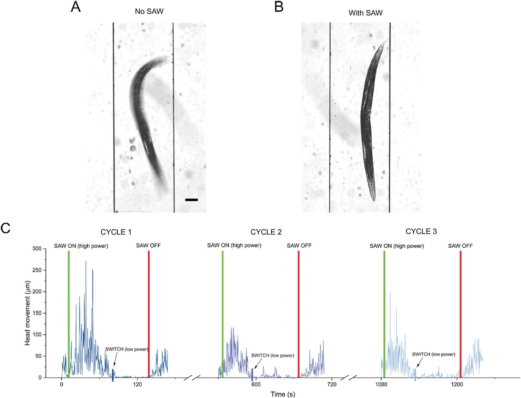 Fig. 2