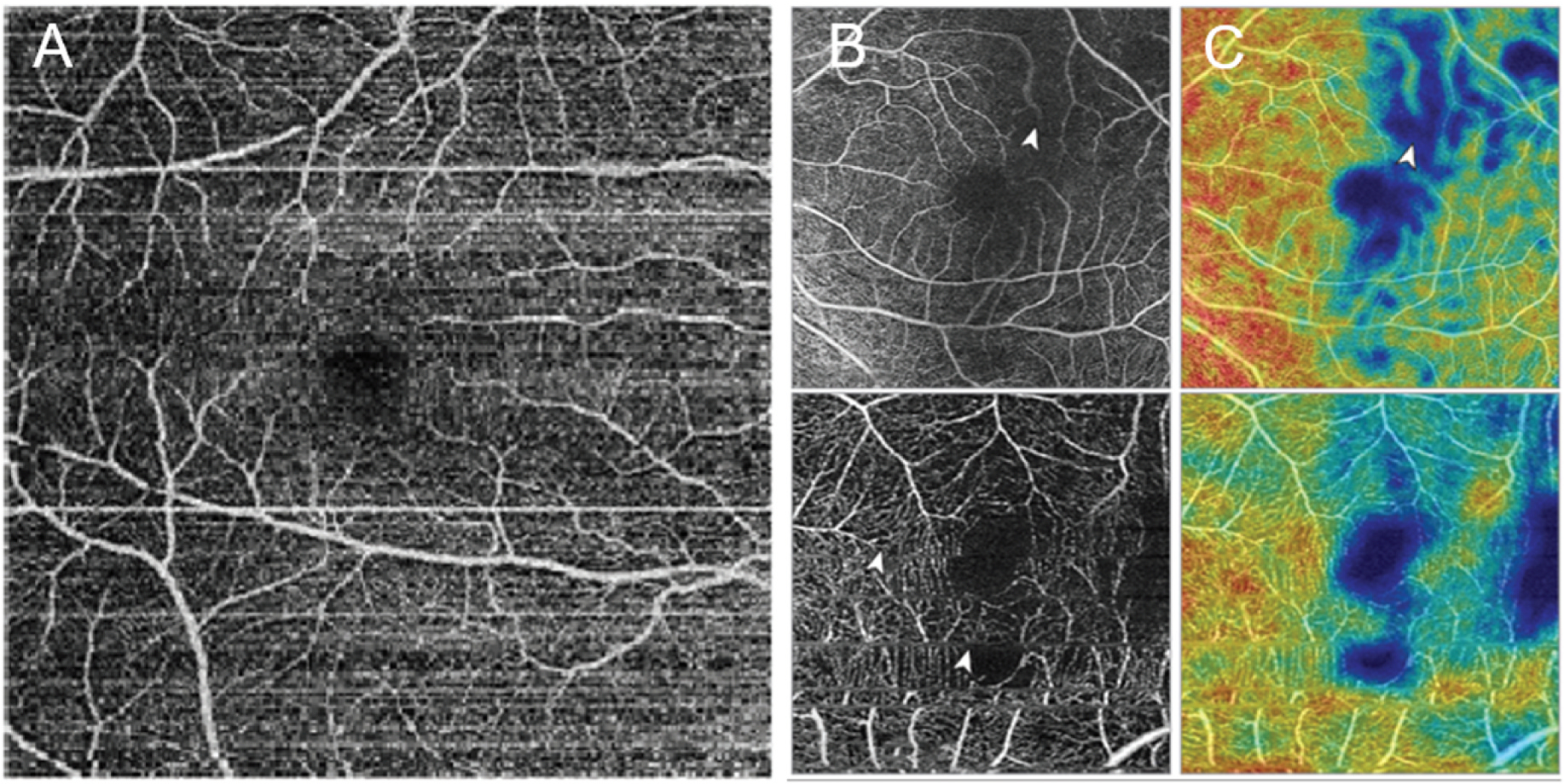 Fig. 8.