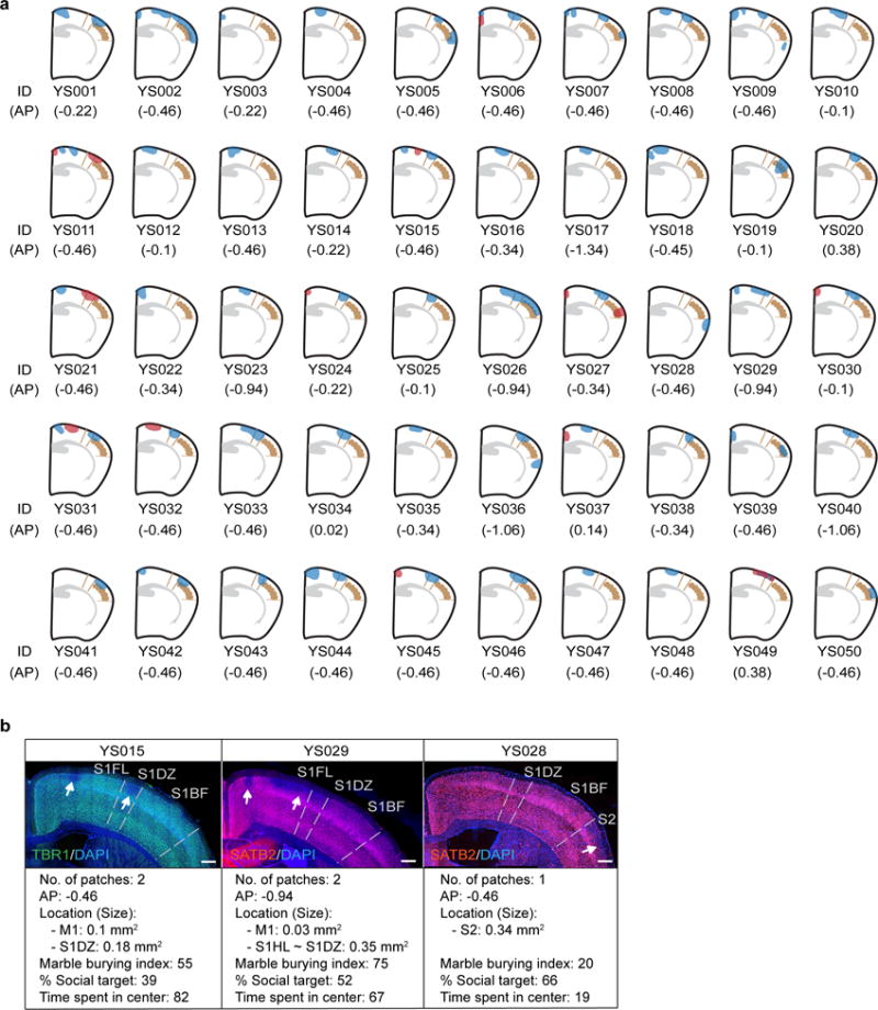 Extended Data Fig. 2