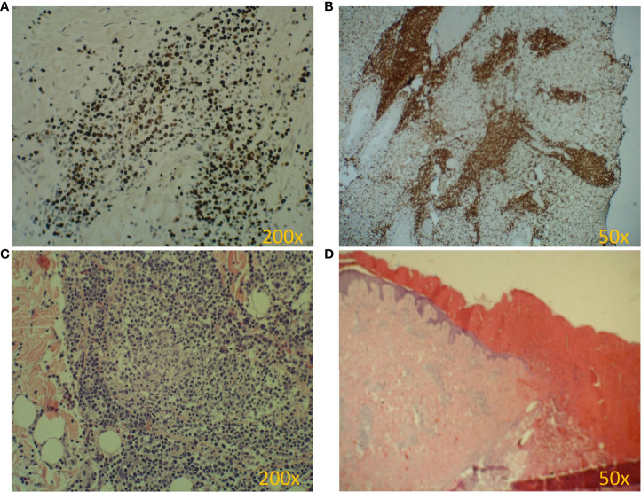 Figure 2