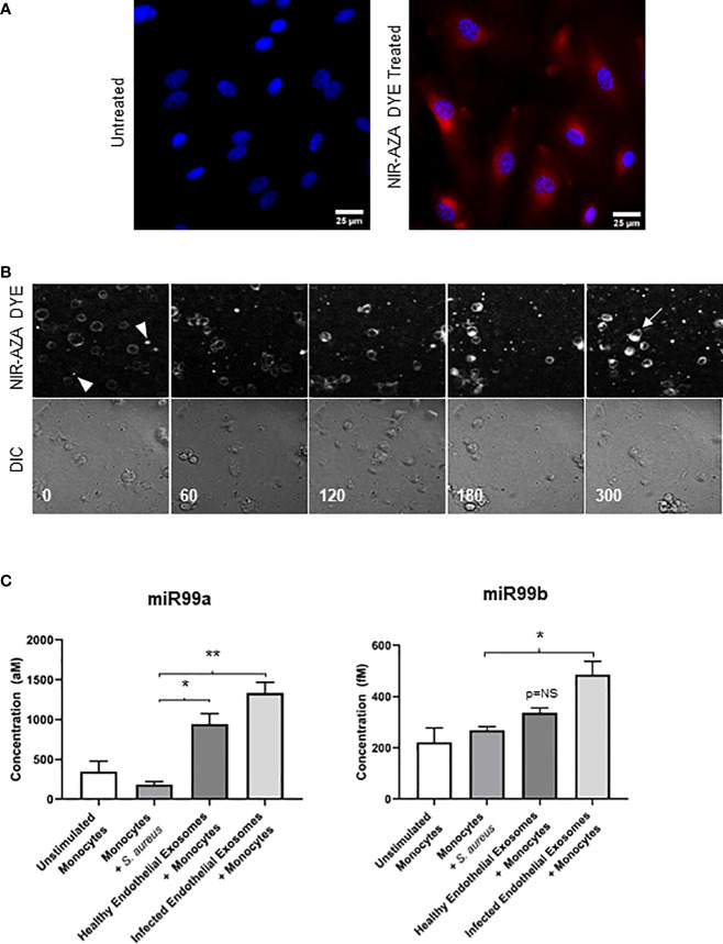 Figure 3