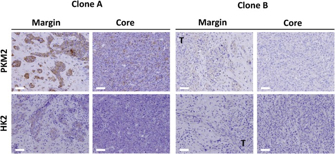 Fig. 6.