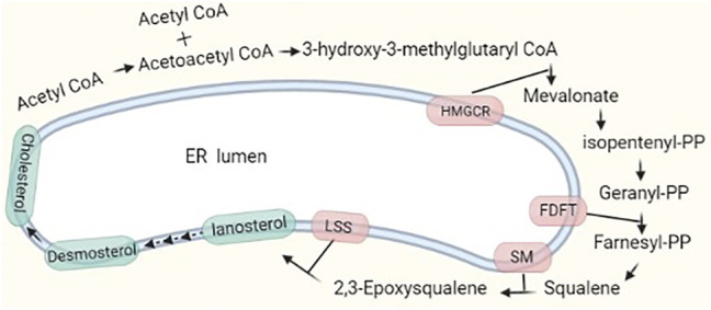 FIGURE 1