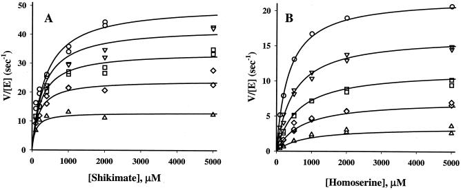 FIG. 5