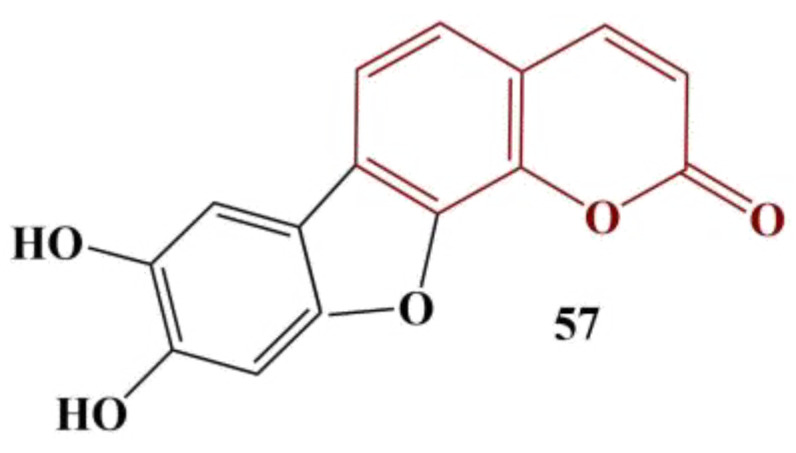 Figure 24