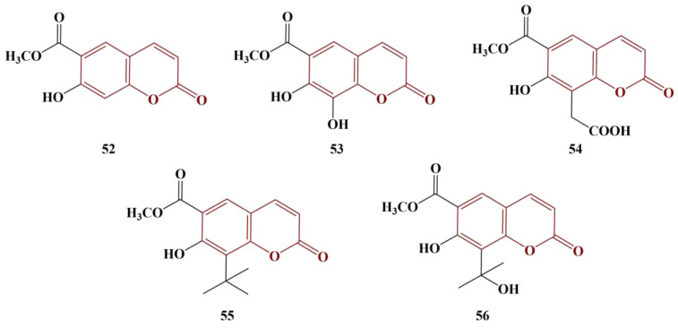 Figure 23