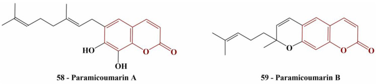 Figure 25