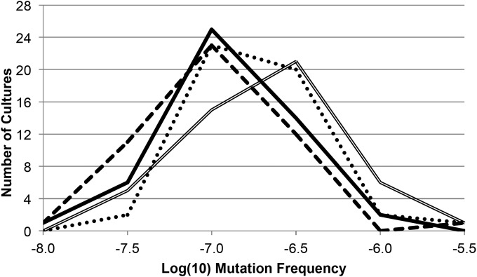 FIG 6