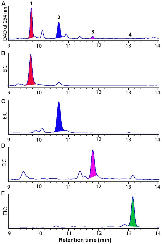 FIGURE 2