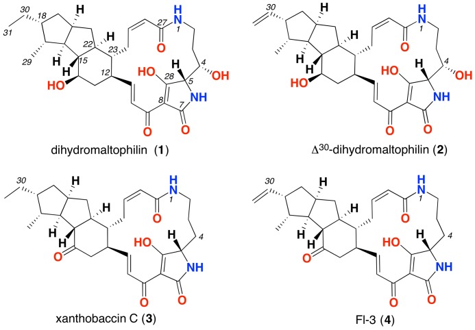 FIGURE 3