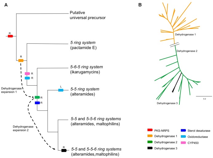 FIGURE 6