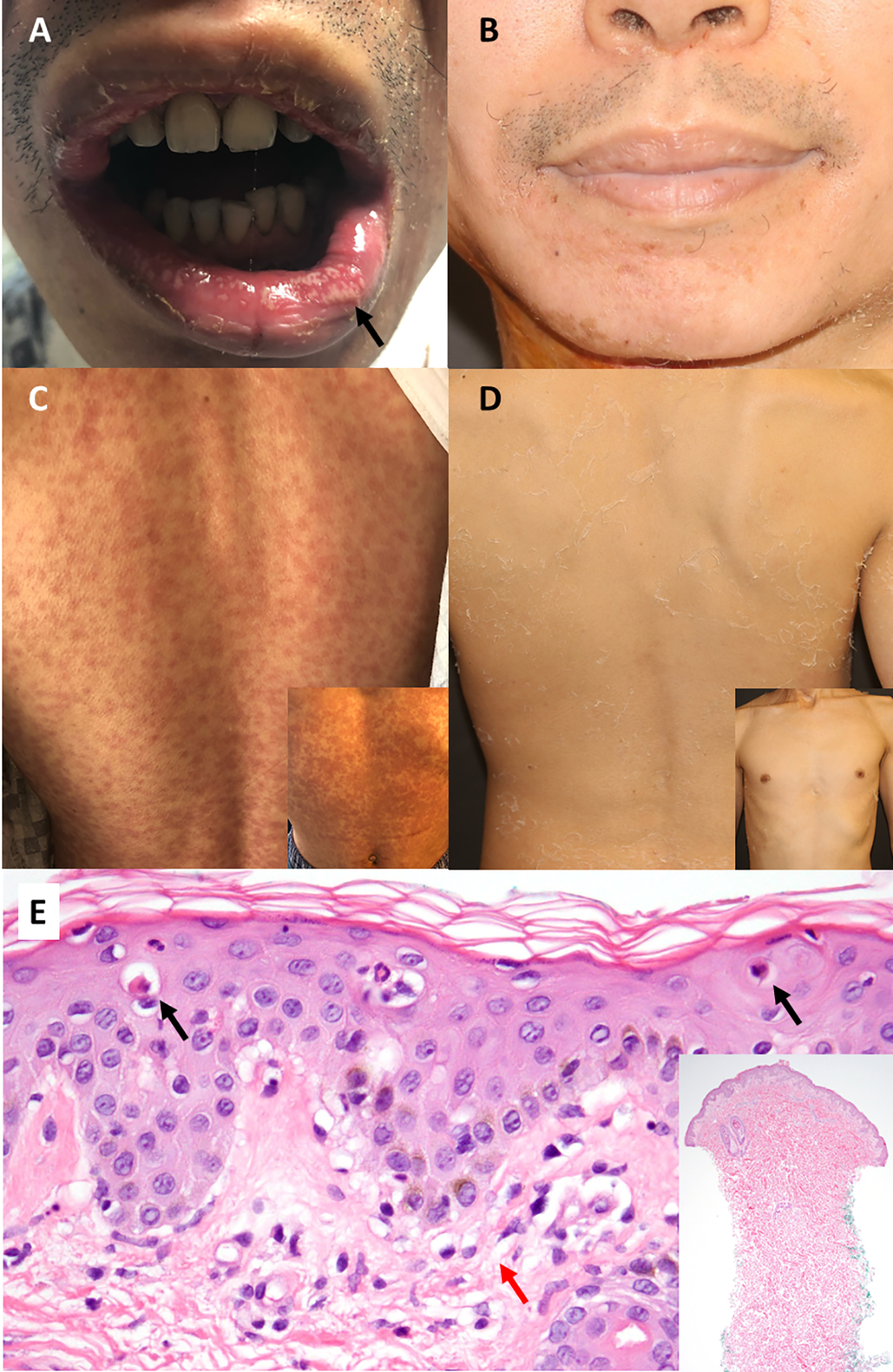 Figure 1.