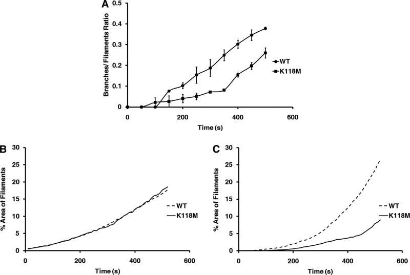 FIGURE 10.