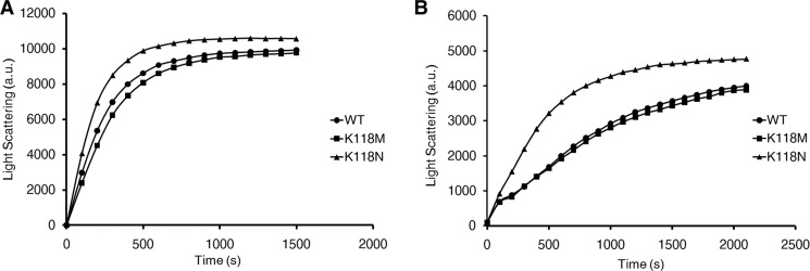 FIGURE 4.