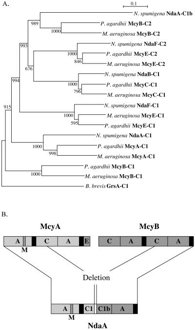 FIG. 5.