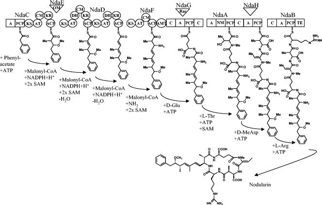 FIG. 7.