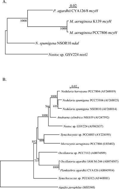 FIG. 6.