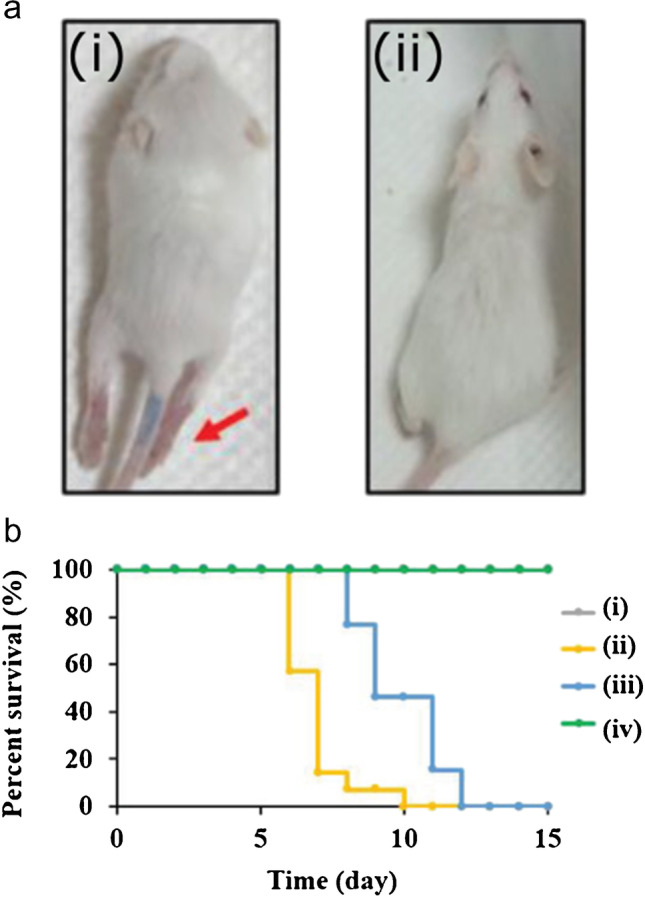 Fig. 13