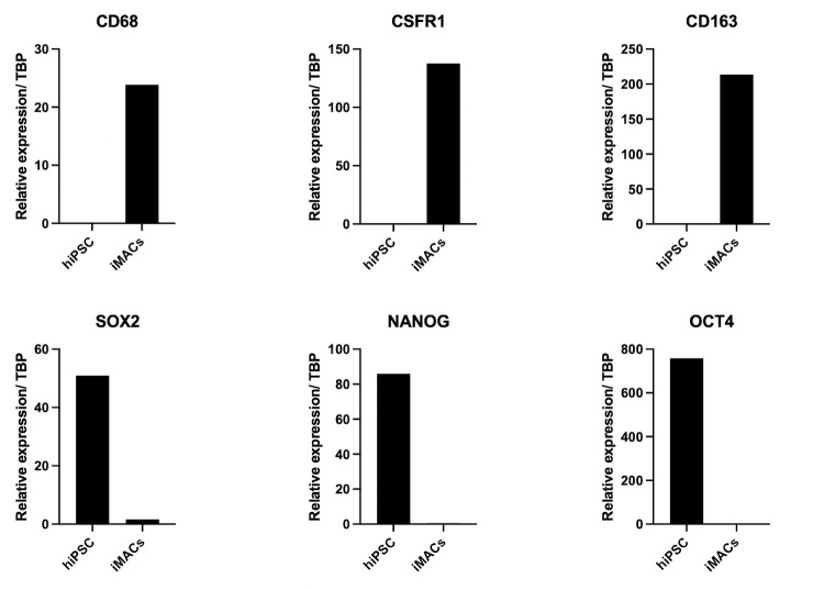 Figure 13.