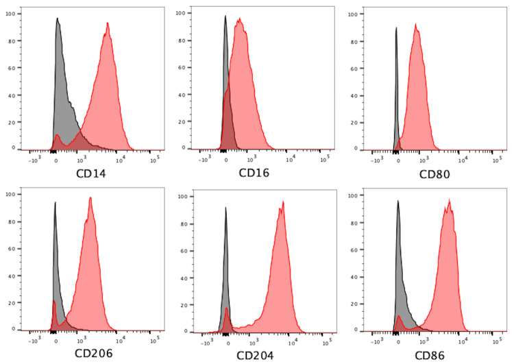 Figure 12.