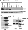 Fig 11