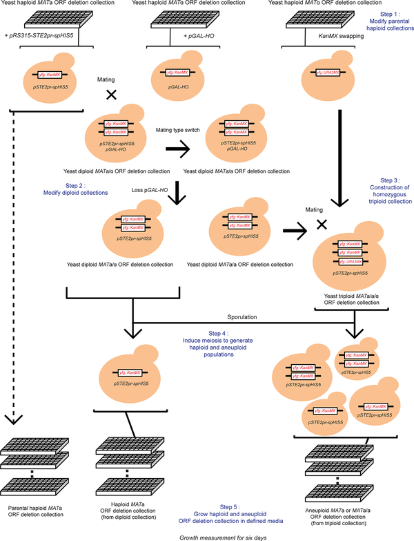 Extended Data Figure 9 |