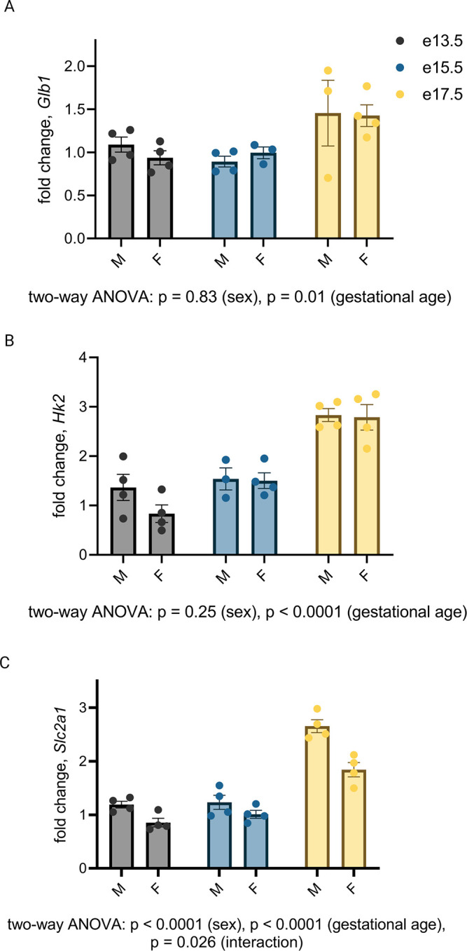 Figure 2—figure supplement 1.