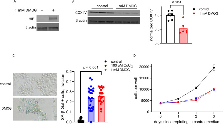 Figure 5—figure supplement 3.