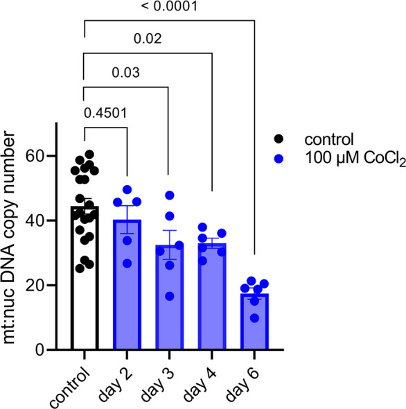 Figure 5—figure supplement 1.