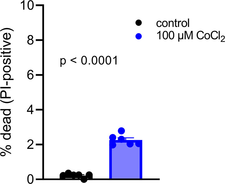 Figure 5—figure supplement 2.