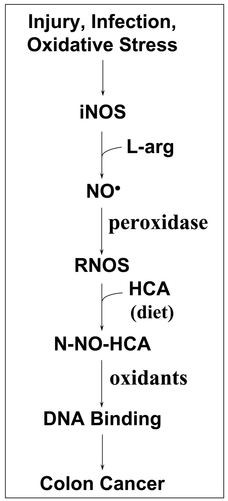 Figure 8