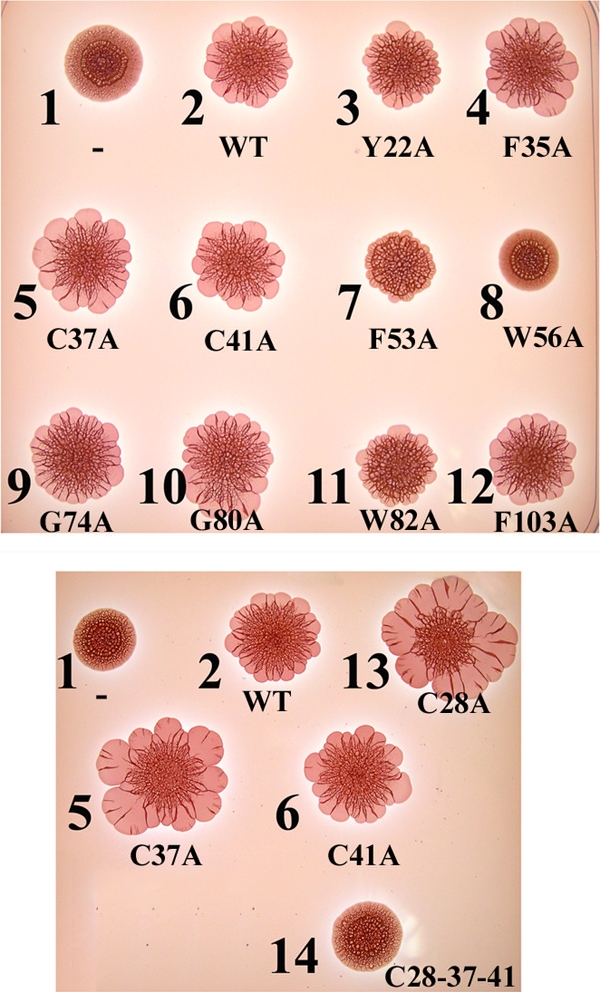 FIG. 5.