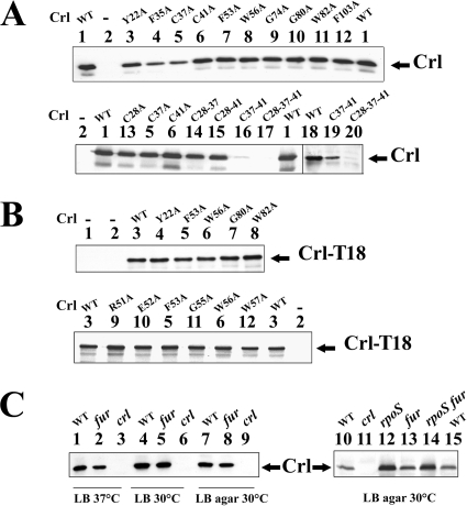 FIG. 6.