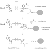 Fig. 3