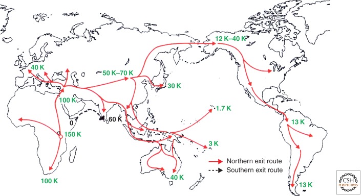 Figure 1.