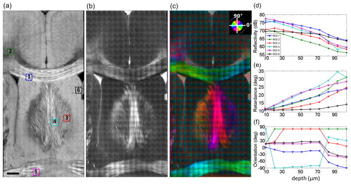 Fig. 3