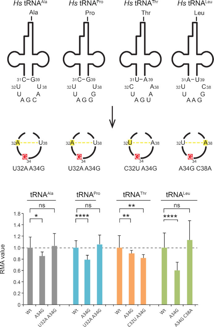 Figure 5.