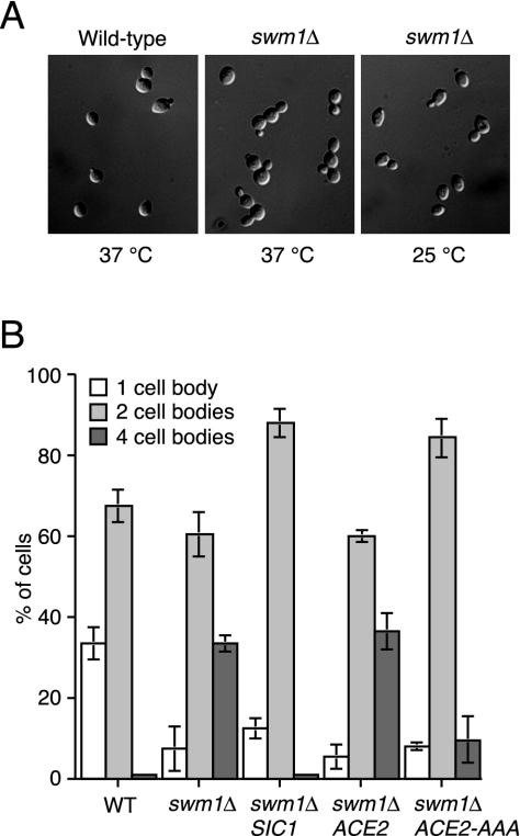 FIG. 8.