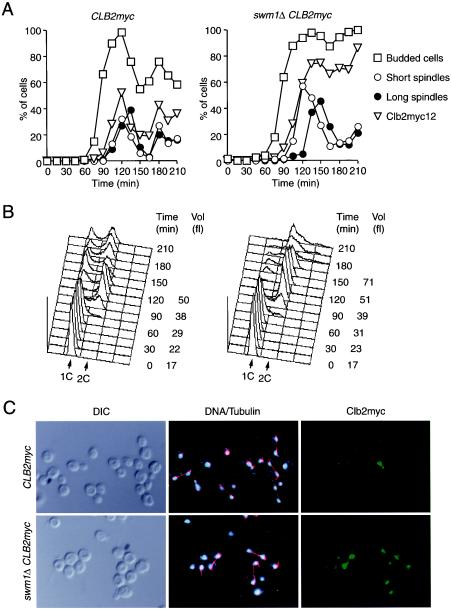 FIG. 7.