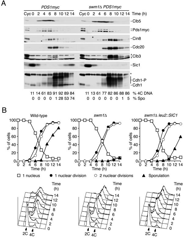 FIG. 11.