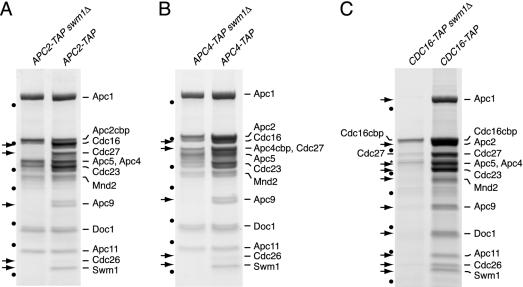 FIG. 4.