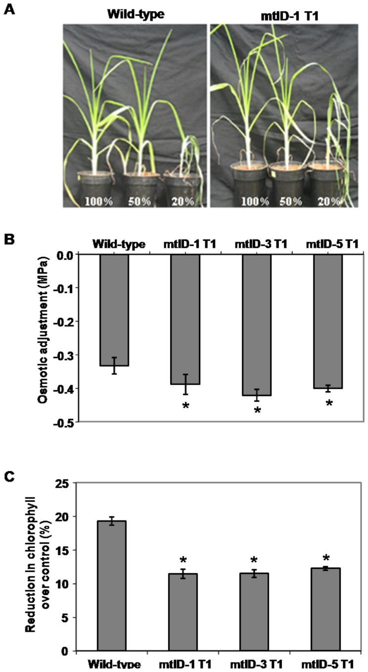 Figure 5